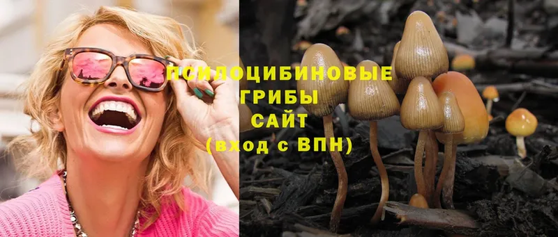 Галлюциногенные грибы MAGIC MUSHROOMS  shop официальный сайт  Копейск  дарнет шоп 